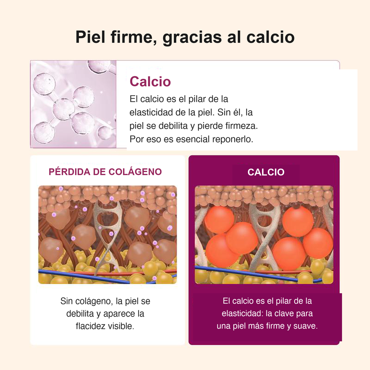 Piel firme con calcio